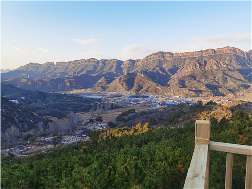 1635468540085063607.jpg 图片 6.jpg